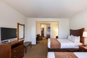 Comfort Suites Stone Oak