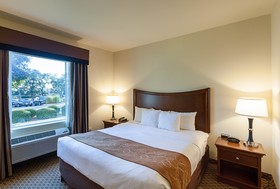 Comfort Suites Stone Oak
