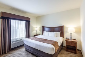 Comfort Suites Stone Oak