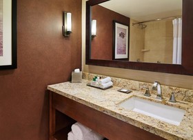 DoubleTree by Hilton San Antonio Airport