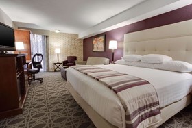 Drury Plaza Hotel San Antonio Airport