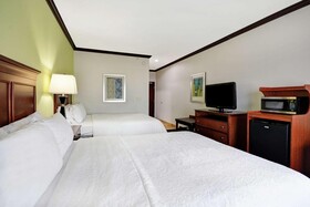 Hampton Inn & Suites San Antonio / Northeast I-35