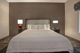 Hampton Inn & Suites San Antonio Riverwalk