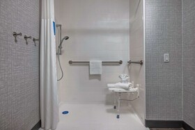 Hampton Inn San Antonio-Downtown (River Walk)