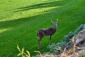JW Marriott San Antonio Hill Country Resort & Spa