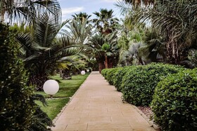 Plaza San Antonio Hotel & Spa  Autograph Collection