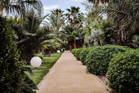 Plaza San Antonio Hotel & Spa  Autograph Collection