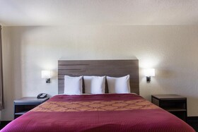 OYO Inn & Suites - Medical Center