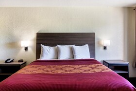 OYO Inn & Suites - Medical Center