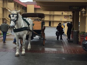 Rodeway Inn Downtown near Riverwalk