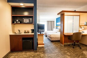 SpringHill Suites San Antonio Downtown/Alamo Plaza