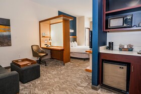 SpringHill Suites San Antonio Downtown/Alamo Plaza