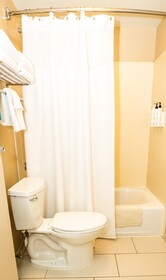 SpringHill Suites San Antonio Downtown/Alamo Plaza