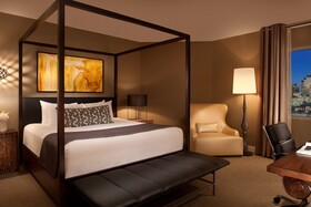 The Hotel Contessa