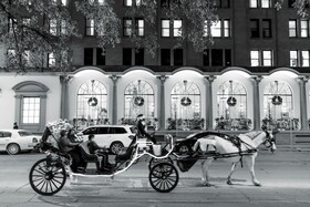 The St. Anthony, a Luxury Collection Hotel, San Antonio