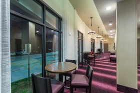Holiday Inn San Marcos-Convention CTR Area