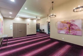 Holiday Inn San Marcos-Convention CTR Area