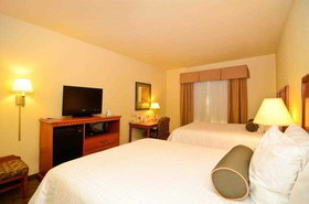 Best Western Plus Schulenburg Inn & Suites