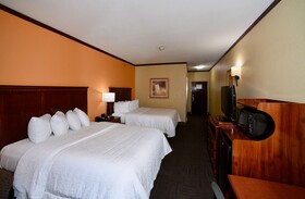 Hampton Inn Seguin