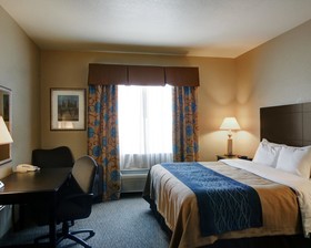 Spark by Hilton Selma