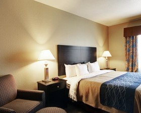 Spark by Hilton Selma