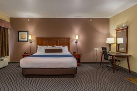 Best Western Plus Shamrock Inn & Suites