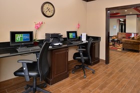 Holiday Inn Express Hotel & Suites Sherman Hwy 75