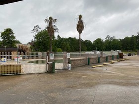 OYO Pinewood Inn & Suites Silsbee