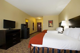 Holiday Inn Express Hotel & Suites Snyder