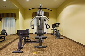 Holiday Inn Express Hotel & Suites Snyder