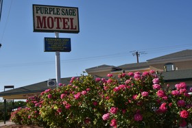 Purple Sage Motel