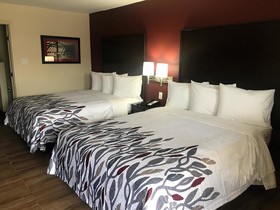 Red Roof Inn Houston - Spring North
