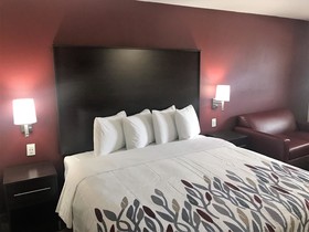 Red Roof Inn Houston - Spring North