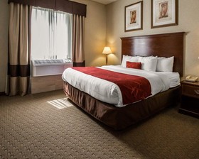 Comfort Suites Stafford