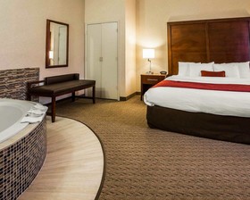 Comfort Suites Stafford