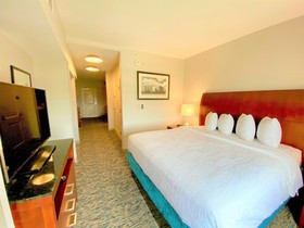 Hilton Garden Inn Houston/Sugar Land