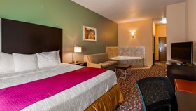 Best Western Plus The Woodlands