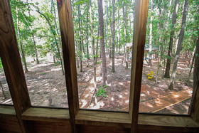 Cora's Cabins