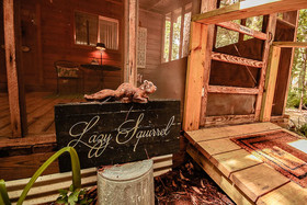 Cora's Cabins