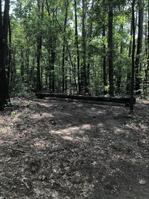Cora's Cabins