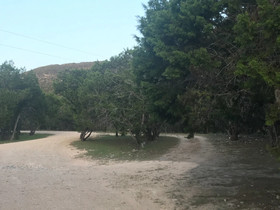 A Peace of Heaven Cabins And RV