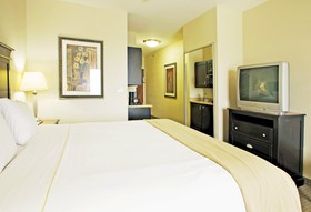 Holiday Inn Express Hotel & Suites Vernon College Area (Hwy 287)