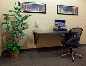 Holiday Inn Express & Suites Vidor South