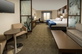 Holiday Inn Express & Suites Waco South