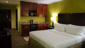 Holiday Inn Express & Suites Waller - Prairie View