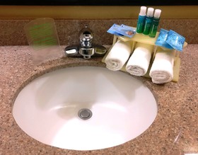Holiday Inn Express & Suites Waller - Prairie View