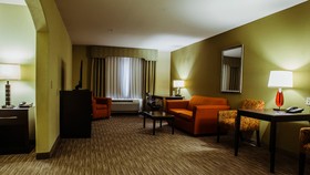 Holiday Inn Express & Suites Waller - Prairie View
