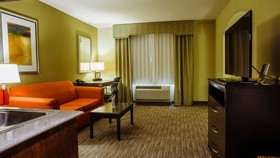 Holiday Inn Express & Suites Waller - Prairie View