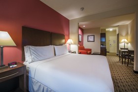 Holiday Inn Express & Suites Houston Space Center - Clear Lake