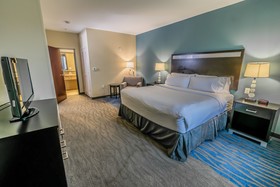 Holiday Inn Houston-Webster